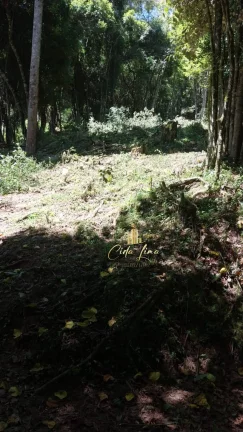 Imagem Vendo sítio/ Chácara, 12 Hectares em Alfredo Wagner SC.