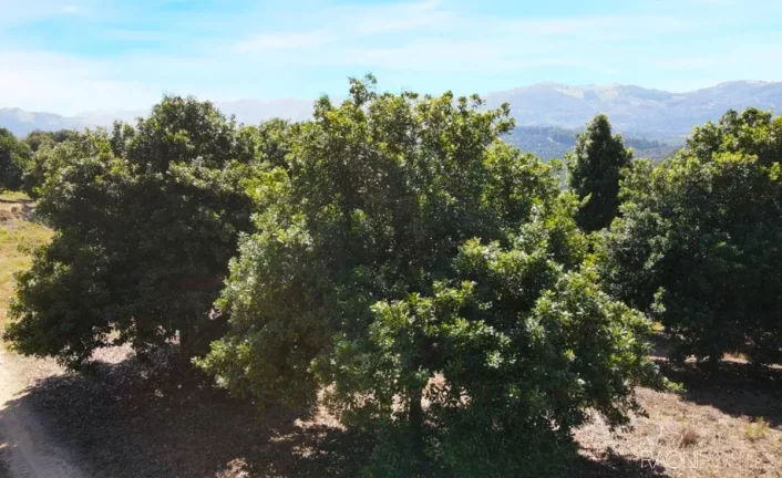 Imagem Fazenda à Venda, 6.220.000 m² em Zona Rural - São Sebastião Da Grama