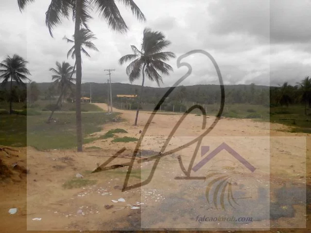 Imagem Lotes para venda Sítio do Conde, Conde-BA