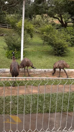 Imagem Vendo Sítio em Sapucaia com 190 Mil Mts²