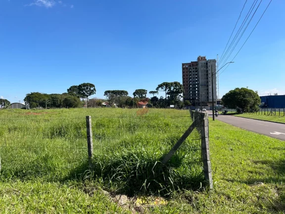 Imagem ÁREA à venda com 5513.17m² por R$ 8.269.755,00 no bairro Centro - PINHAIS / PR