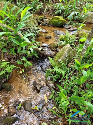 Imagem Refúgio na Mantiqueira: Seu Paraíso rural entre Gonçalves e Paraisópolis!