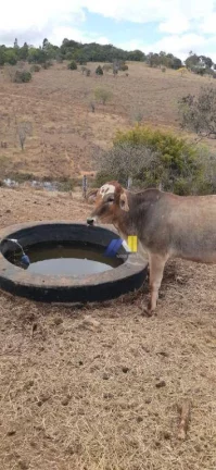 Imagem Fazenda à Venda, 246 m² em Algodão - Pouso Alegre