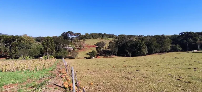 Imagem Chácara à venda em Cascavel - Área Rural com Energia Elétrica e Rio