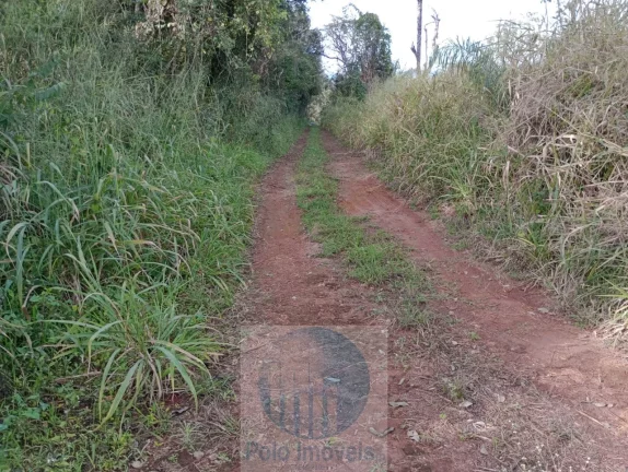 Imagem Sítio vende 10 alqueires em Altinópolis - SP, terra de cultura, vermelha e em pasto.