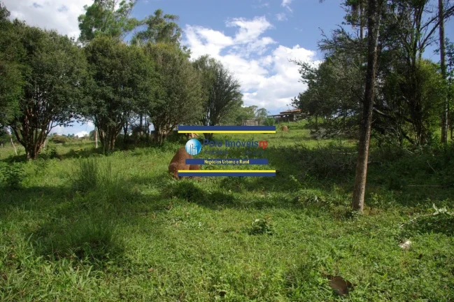 Imagem Sítio 14 alqueires com estrutura, casa, água e energia, R$ 90.000,00 valor do alqueire - Jacuí - Minas Gerais