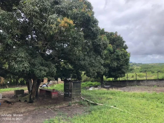 Lote de terreno no Socorro: Espaço amplo de 1200m²!