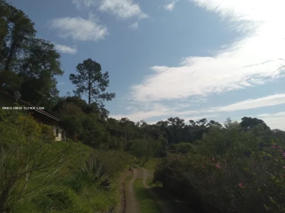Imagem Sítio / Chácara para Venda em Campo Limpo Paulista / SP no bairro Chácara São João