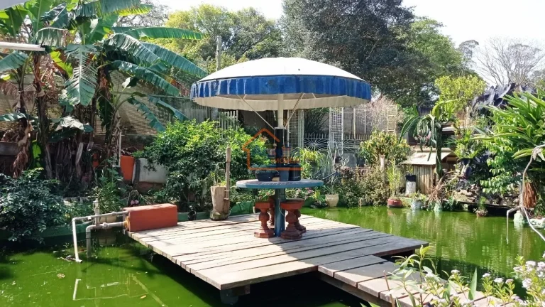 Imagem Chácara à venda no bairro PEDERNEIRAS - Mogi Mirim/SP
