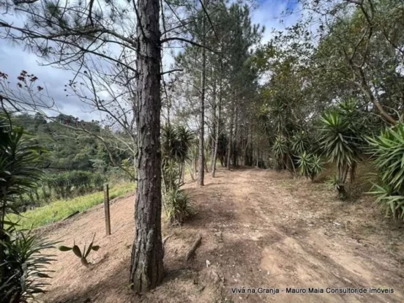 Imagem Km 36 Rap. Tavares - Área para Incorporação (loteamento / condomínio) 18.455m²