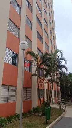 Imagem Apartamento à venda, Terra Nova