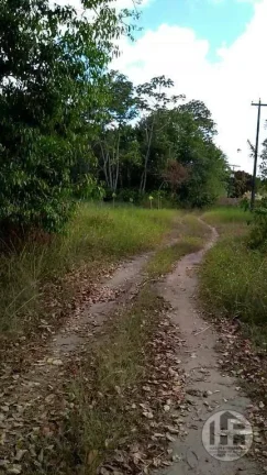 Imagem Chácara à venda com 8 hectares em Aldeia