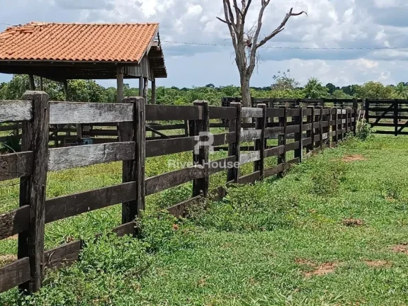 Imagem Fazenda a venda com 890 hectares Dupla aptidão na Região de Nossa senhora do Livramento Livramento MT