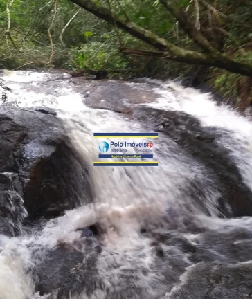 Imagem Sítio 3 alqueires ou 7,26 hectares com casa, cercada, 6.000 pés de café em São Tomás de Aquino - MG