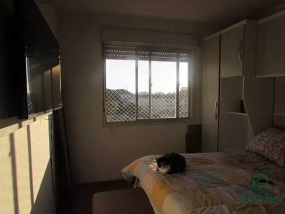 Imagem Apto 02 Dorm. para venda no bairro Partenon Porto Alegre/RS - AP2745