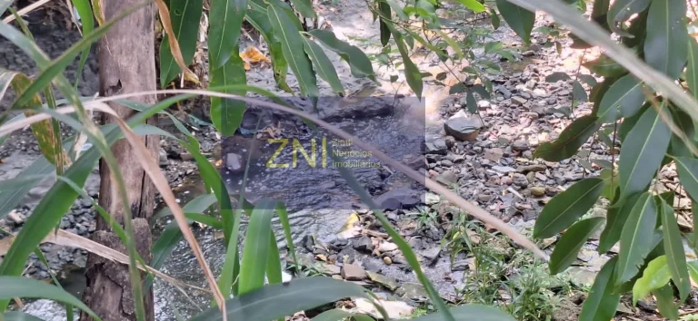 Imagem Chácara Ampla à Venda no Jardim do Trevo R 1386