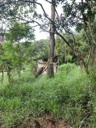 Imagem Terreno amplo à venda no Jardim Renata (Itapecerica da Serra)