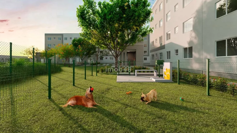 Imagem Apartamento à venda em Bela Vista, Palhoça, 2 quartos, 47m²
