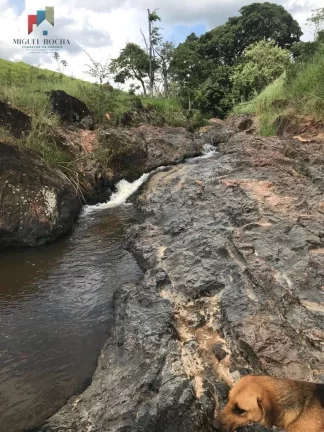 Imagem Fazenda região de Itapira SP