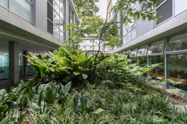 Imagem Apartamento em Moema Pássaros, São Paulo/SP