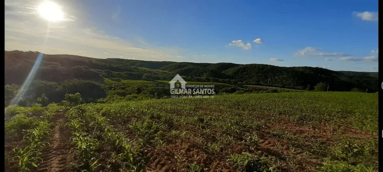 Imagem Lote/Terreno no bairro zona rural, em Sítio do Quinto