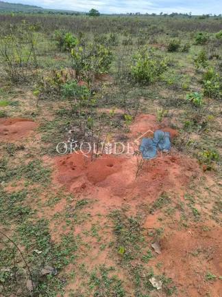 Imagem Fazenda à venda em Mineiros-GO: 150,00 alqueires na Área Rural de Mineiros