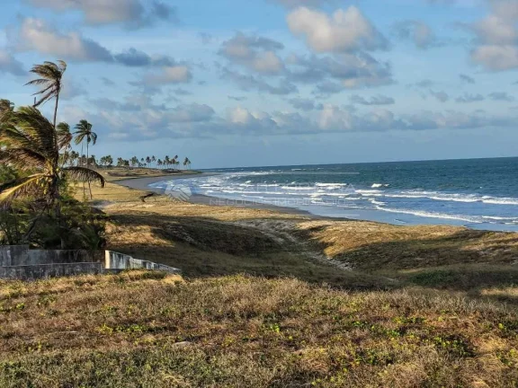Imagem F01 - Terreno na praia de Muriu - pé na areia