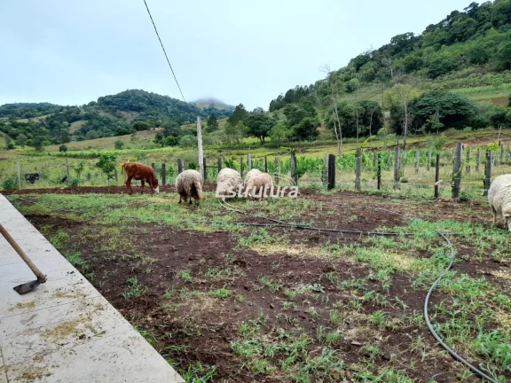 Uma excelente chácara no interior de São Pedro