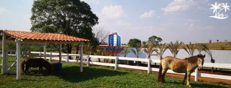 Imagem Sítio Hotel Fazenda em Mirassol, 70 ha com Lazer