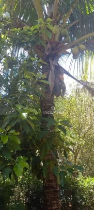 Imagem Rancho à venda por R$ 380.000 - Cachoeira Dourada