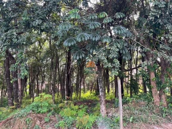 Imagem Terreno à venda, 1000 m² por R$ 280.000,00 - Condomínio Canto do Riacho - Lagoa Santa/MG