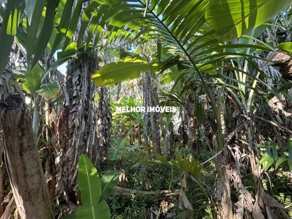 Imagem Terreno á venda na Interprais - Praia do Estaleirinho em Balneário Camboriú