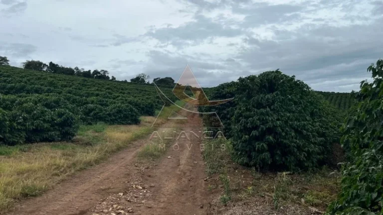 Imagem Fazenda - Oliveira - Zona Rural