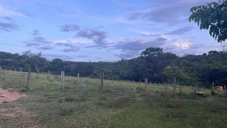 Imagem Fazenda à Venda – 117,3 Hectares em Luziânia-GO