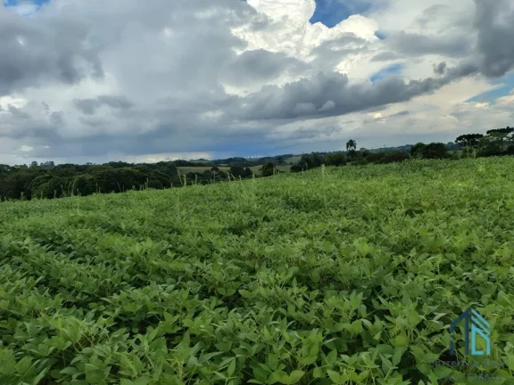 Imagem Terreno com 9,2 Alqueires, área verde ideal para plantio ou construção, em Campo Largo PR