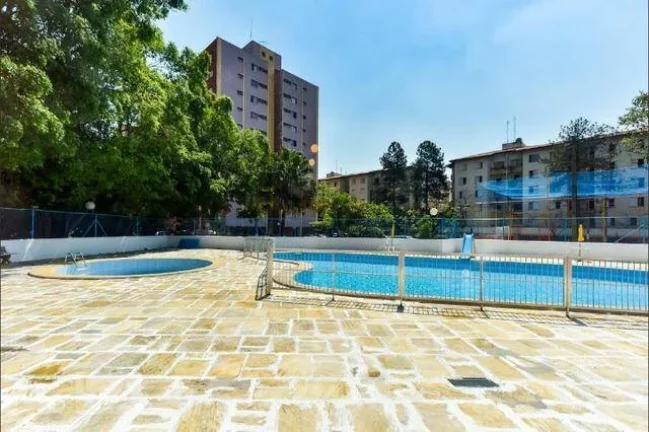 Imagem Apartamento Condomínio Parque das Flores 53 m² 2 Dormitórios e 1 Vaga