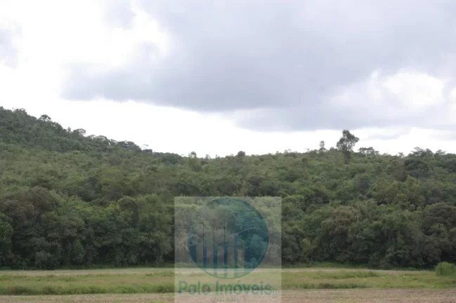Imagem Sitio 8,23 alqueires ou 19,93 ha para compensação de Reserva, R$ 60 mil o alqueire - Jacuí - Minas Gerais.