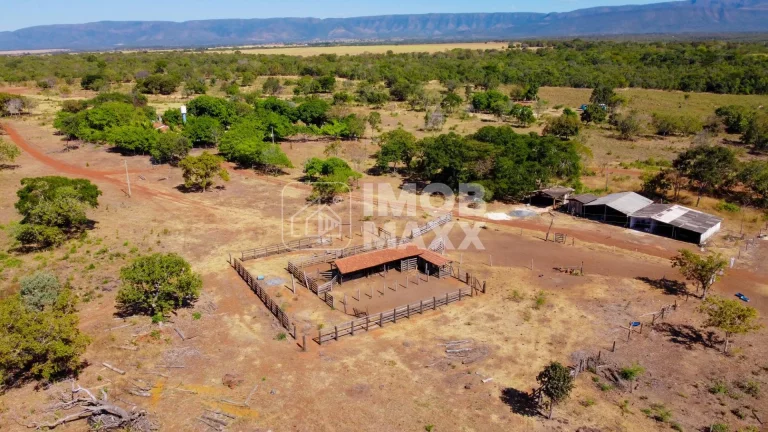 Imagem Fazenda a venda em Formosa: 281 hectares, água perene, dupla aptidão - escriturada e registrada.