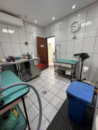 Imagem Casa para locação, Santa Maria, São Caetano do Sul, SP