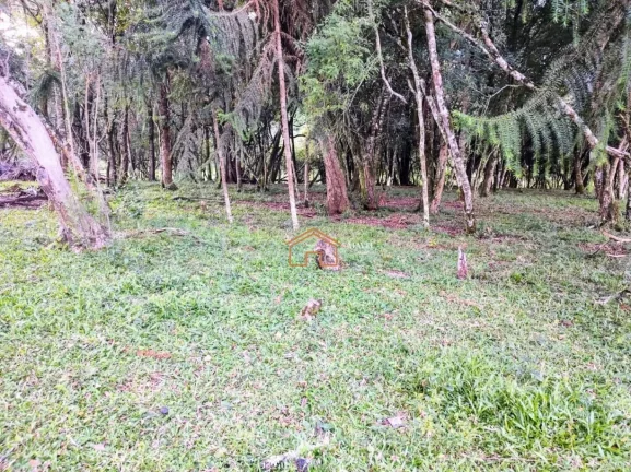 Imagem CHACARA RURAL em CAMPO BELO DO SUL - SC, Interior