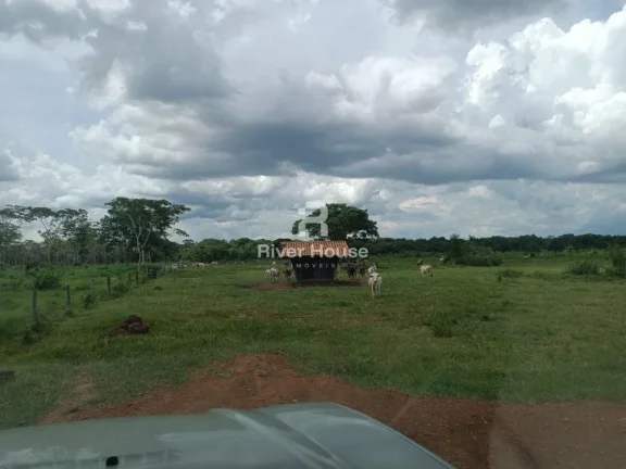 Imagem Fazenda a venda com 890 hectares Dupla aptidão na Região de Nossa senhora do Livramento Livramento MT