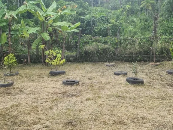 Imagem Chácara para Venda em Itanhaém, Aguapeú, 4 dormitórios, 2 banheiros