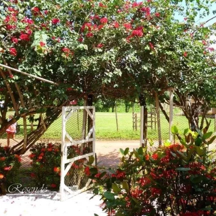 Imagem CASA A VENDA NO CUTIJUBA