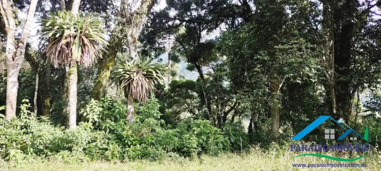 Imagem Terreno Exuberante no Bairro Campestre, Gonçalves – Serra da Mantiqueira