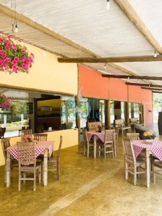 Imagem Restaurante/Ponto Comercial à Venda no Pé da Serra - Ubatuba / SP.