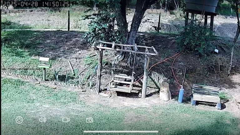 Imagem Chácara para Venda em São Pedro, --------------, 1 dormitório, 1 banheiro, 10 vagas