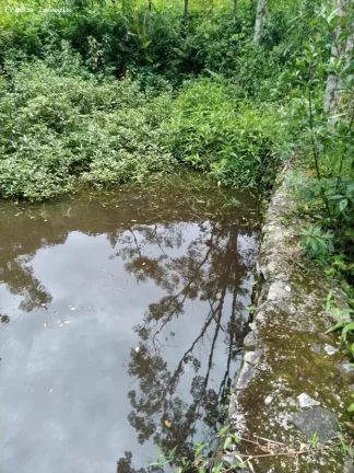 Imagem Chácara para Venda em Ribeirão Pires, Somma, 4 dormitórios, 1 banheiro, 10 vagas