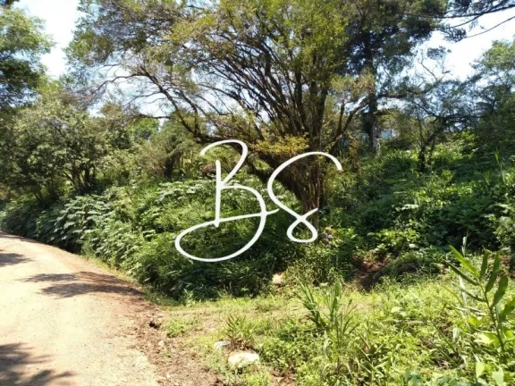 Imagem CHACARA RURAL em IGREJINHA - RS, Serra Grande