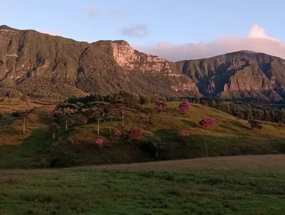 Imagem Sítio à Venda, Santa Rosa de Lima/SC