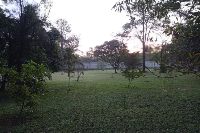Imagem CCDZ 28 Lote 630331044-7